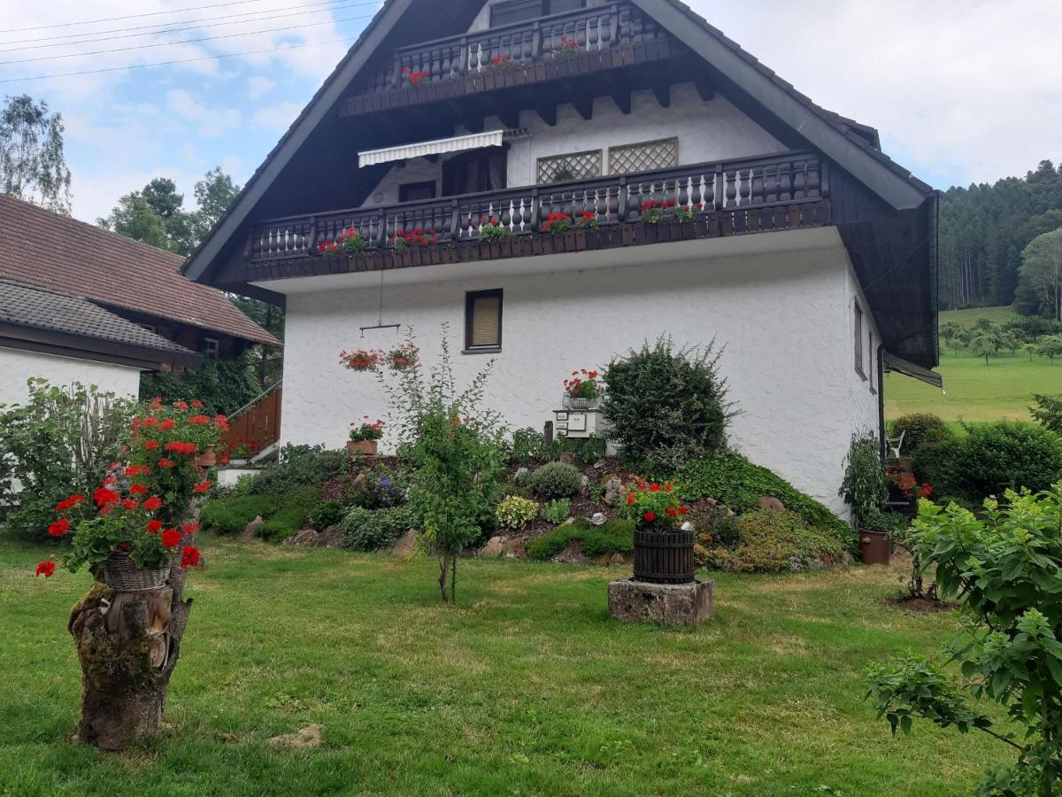 Ferienapartment Karle Nordrach Esterno foto
