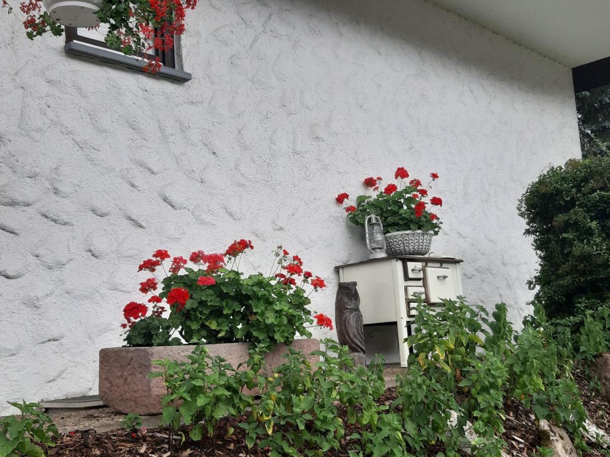 Ferienapartment Karle Nordrach Esterno foto
